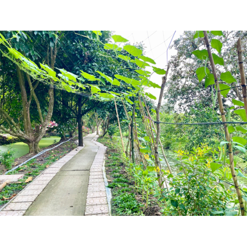 Không gian hoà mình thiên nhiên của Tuấn Tường